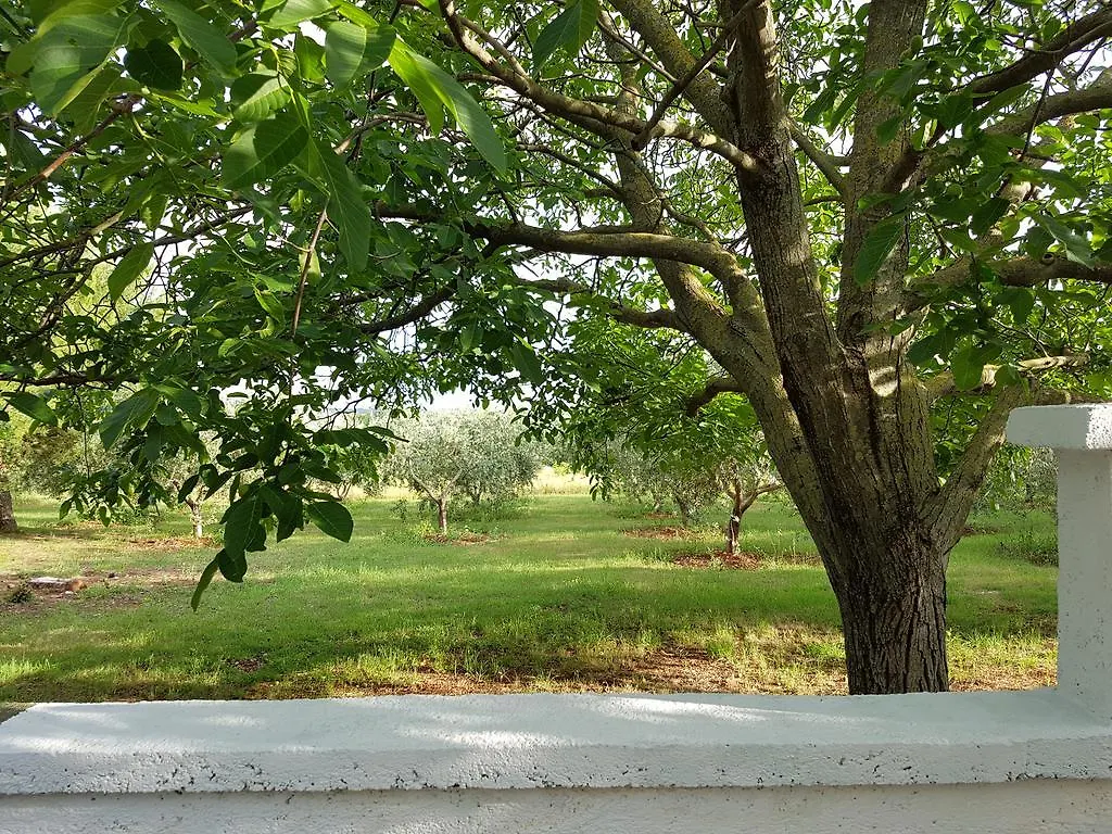 Villa Rosa With Yard And Children'S Playground Tar-Vabriga 0*,  크로아티아